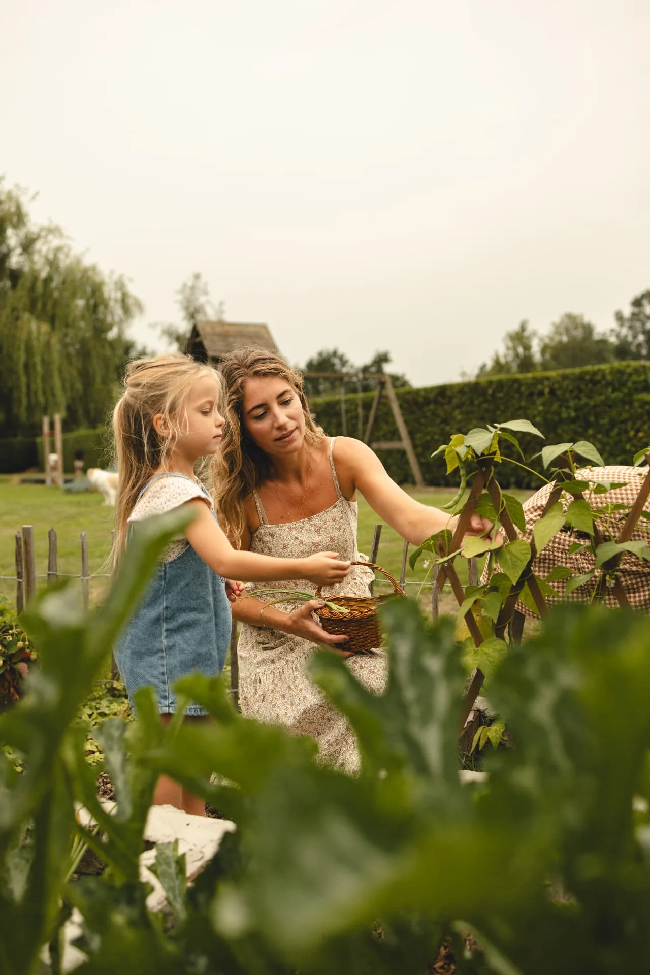 Newbornshoot Venray
